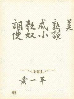 调教成熟美妇肉便奴小说