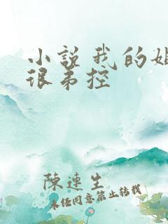 小说 我的姐姐很弟控