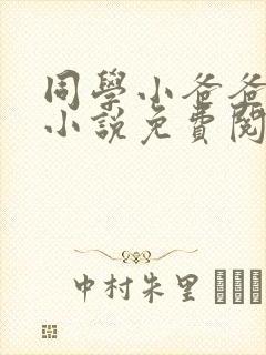 同学小爸爸李凯小说免费阅读全文