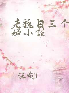 老魏日三个儿媳妇小说