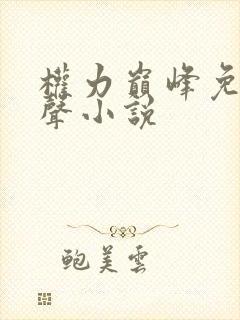 权力巅峰免费有声小说