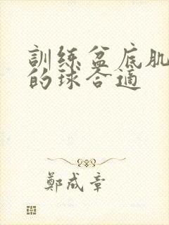 训练盆底肌多大的球合适