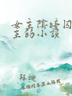 女主阴暗囚禁男主的小说