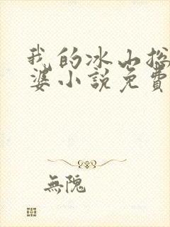 我的冰山总裁老婆小说免费完整版