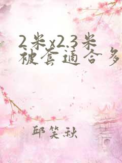 2米x2.3米被套适合多大的床