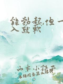 能勃起,但一插入就软