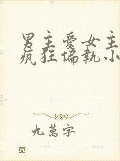 男主爱女主爱到疯狂偏执小说