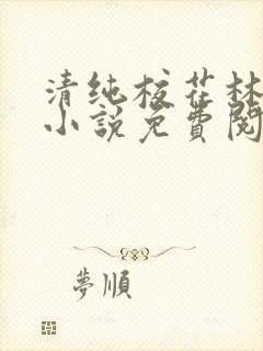 清纯校花林思琪小说免费阅读