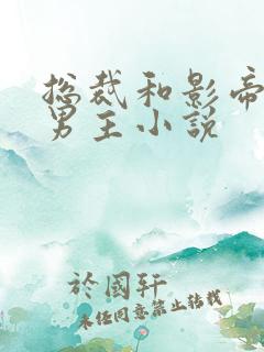 总裁和影帝的双男主小说