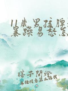 11岁男孩脾气暴躁易怒怎么办