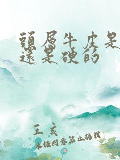 头层牛皮是软的还是硬的