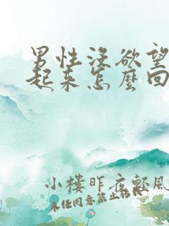 男性没欲望勃不起来怎么回事