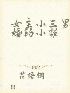 女主小三男主已婚的小说