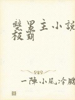 双男主小说校草校霸