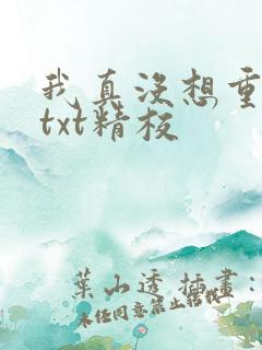我真没想重生啊txt精校