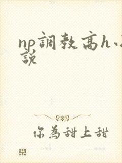 np调教高h小说