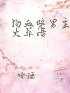狗血双男主追妻火葬场