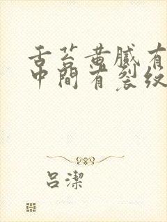 舌苔黄腻有齿痕中间有裂纹