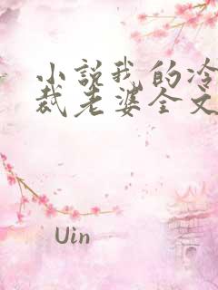 小说我的冷艳总裁老婆全文阅读