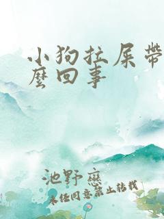 小狗拉屎带血怎么回事