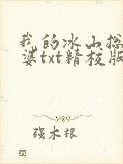 我的冰山总裁老婆txt精校版