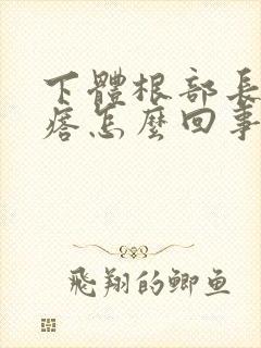 下体根部长硬疙瘩怎么回事