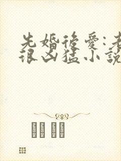 先婚后爱:老公很凶猛小说全文免费