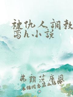 被仇人调教成禁脔h小说