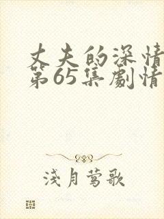 丈夫的深情谎言第65集剧情简介