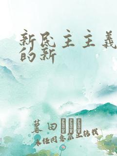 新民主主义革命的新