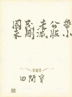 国民老公带回家未删减版小说