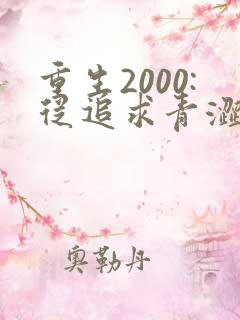 重生2000:从追求青涩校花同桌开始00