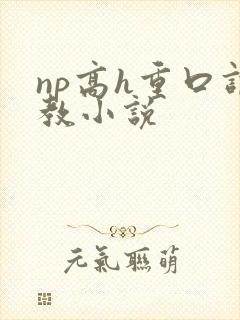 np高h重口调教小说
