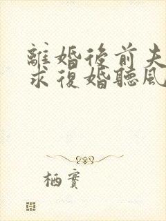 离婚后前夫哭着求复婚听风说雾正版