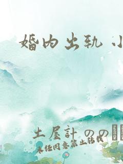 婚内出轨 小说