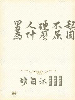 男人硬不起是因为什么原因