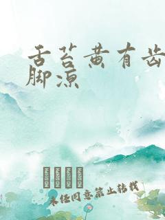 舌苔黄有齿痕手脚凉