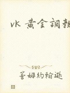 vk 黄金调教