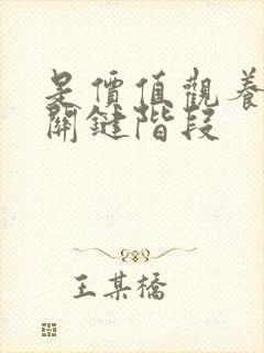 是价值观养成的关键阶段