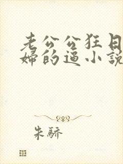 老公公狂日儿媳妇的逼小说