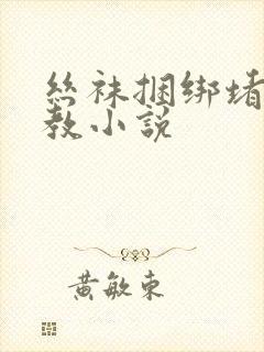 丝袜捆绑堵嘴调教小说