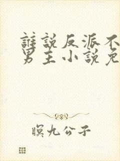 谁说反派不能当男主小说免费阅读