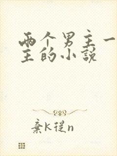 两个男主一个女主的小说