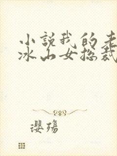 小说我的老婆是冰山女总裁