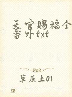 天官赐福全文加番外txt