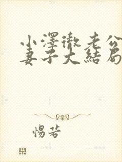 小泽彻老公原谅妻子大结局