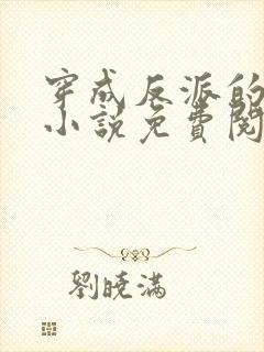 穿成反派的老婆小说免费阅读