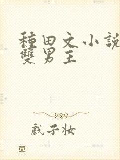 种田文小说推荐双男主