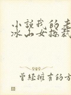 小说我的老婆是冰山女总裁