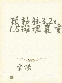 颈动脉3.2x1.5斑块严重吗